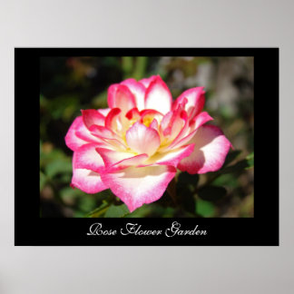 Rose Flower Garden art prints Pink Roses