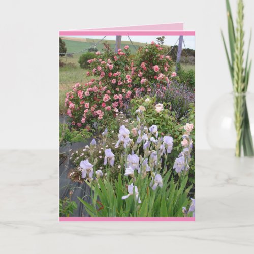 Rose Flower Garden floral flowers Irises Card