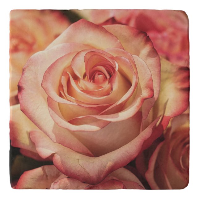 Rose Flower Petals Custom Marble Trivet (Front)