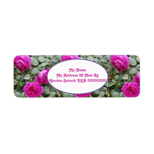 Rose Flower Pink Floral Vintage Roses Art Return A Label