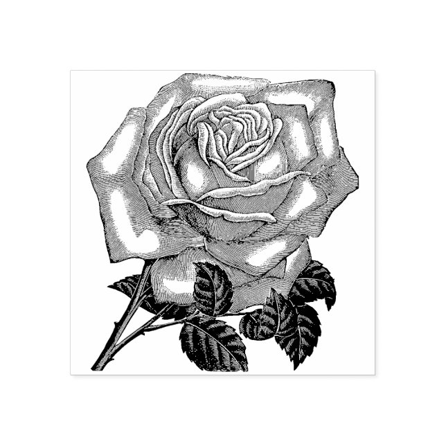 Rose Flower  Rubber Stamp (Imprint)