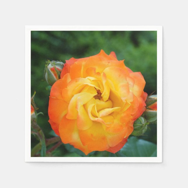 Rose Flower Standard Cocktail Napkin (Front)