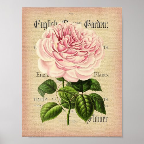 Rose flower vintage feminine floral poster