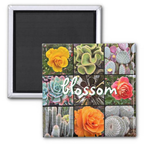 Rose Flowers Cacti Photo Collage Blossom Script Magnet