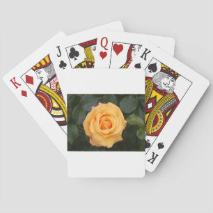 rose flowers flower  love wife sweetheart couple poker cards