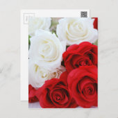 rose flowers flower white red love postcard (Front/Back)