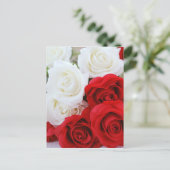 rose flowers flower white red love postcard (Standing Front)