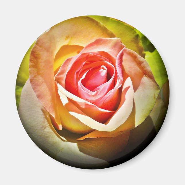 Rose - For You Magnet (Front)