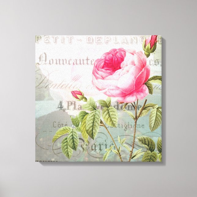 Rose French Accent Shabby Premium Wrapped Canvas Print (Front)