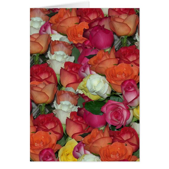 rose galore cards (Front)