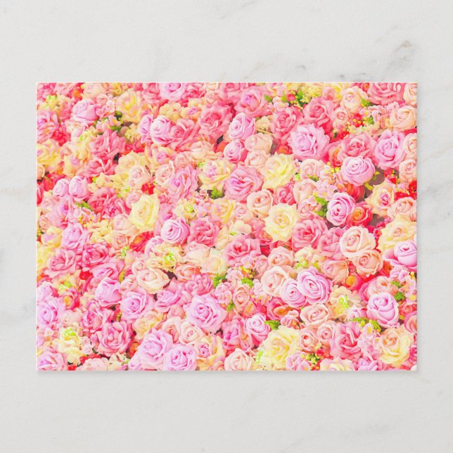Rose garden announcement postcard (Front)