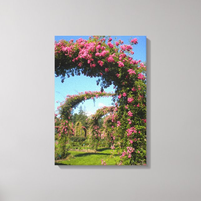 Rose Garden Arches of Elizabeth Park Canvas Print (Front)