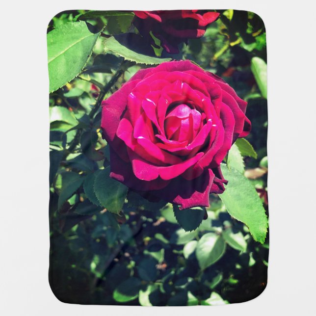 Rose Garden Baby Blanket (Front)