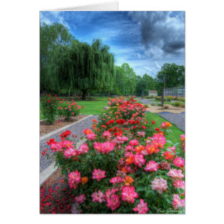 Rose Garden Cards
