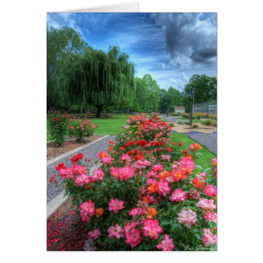 Rose Garden Cards (Front)