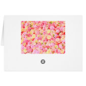 Rose garden cards (Back Horizontal)