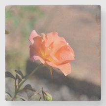 Rose Garden Coaster Collection 4 of 4