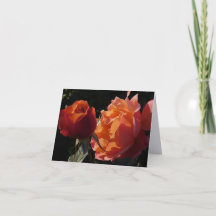 Rose Garden Fine Art Photography Folded Note Cards