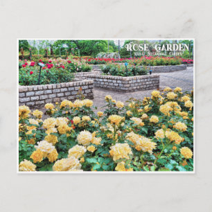 Rose Garden (Nagai Botanical Garden) ポストカード Postcard