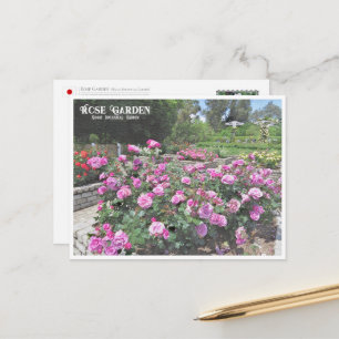 Rose Garden (Nagai Botanical Garden) Postcard