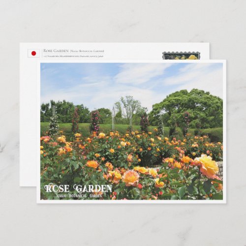 Rose Garden Nagai Botanical Garden Postcard