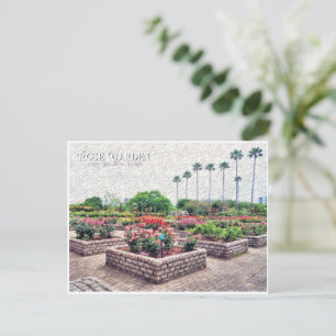Rose Garden (Nagai Botanical Garden) Postcard