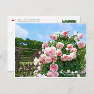 Rose Garden (Nagai Botanical Garden) Postcard