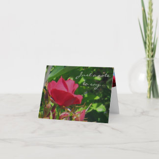Rose Garden Note Card