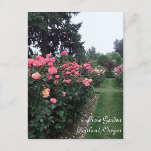 Rose Garden / Portland Oregon Postcard