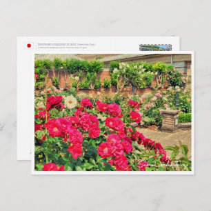 Rose Garden Postcard