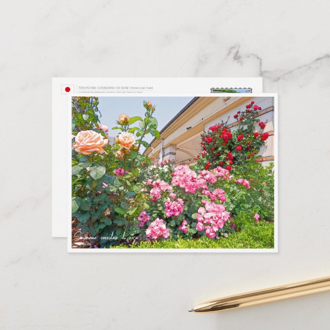 Rose Garden Postcard (Front/Back In Situ)