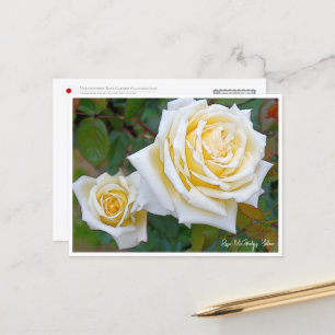 Rose Garden Postcard