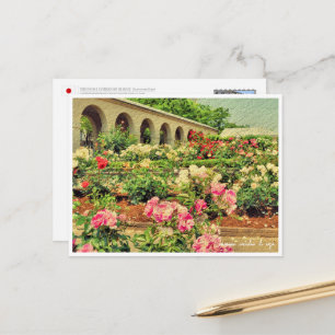 Rose Garden Postcard