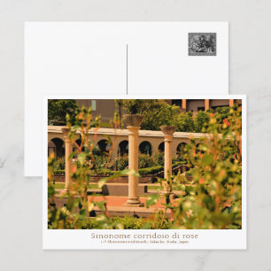 Rose Garden Scenery Postcard