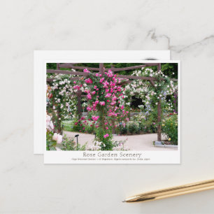 Rose Garden Scenery Postcard