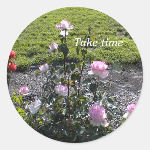 Rose Garden Sticker: Take time. Classic Round Sticker