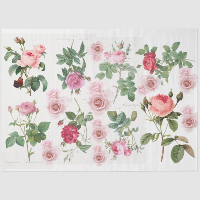 Rose garden tissue paper (Front)