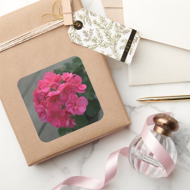 Rose Geranium Flower Square Sticker (Gifting)