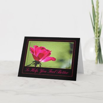 Rose Get Well Card by LivingLife at Zazzle