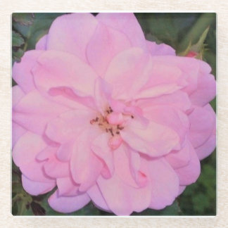 Rose Glass Coaster