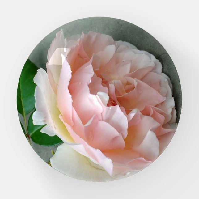 Rose Glass Paperweight (Front)