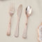 Rose Gold Elise Metalic Plastic Cutlery