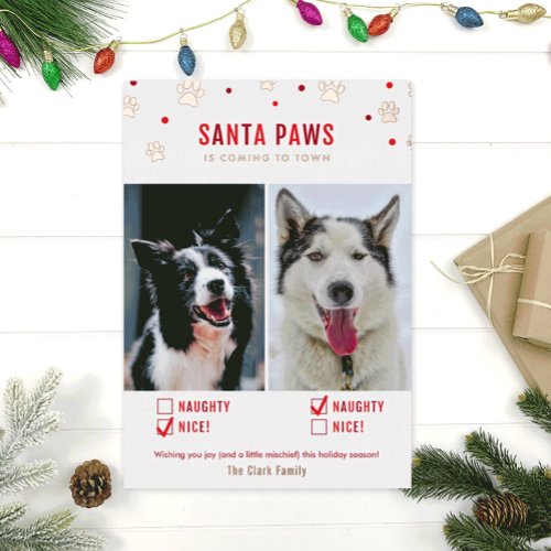 Rose Gold Foil Naughty or Nice Two Dog Photo Card