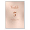 Rose Gold Foil Table Numbers