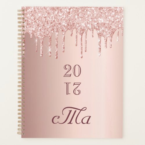 Rose gold glitter luxury couples monogram 2025 planner