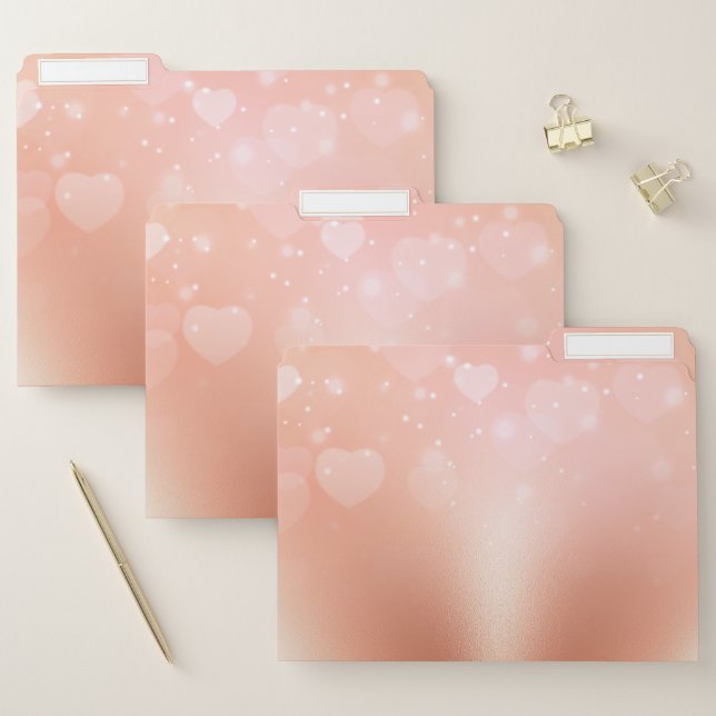Rose Gold Hearts File Folder (Set)