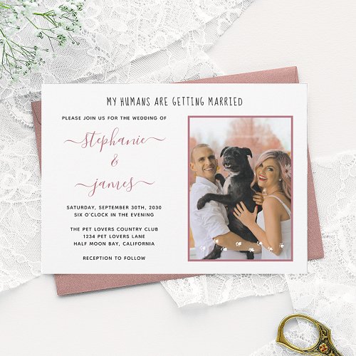 Rose Gold Humans Getting Married Pet Photo Wedding Invitation
