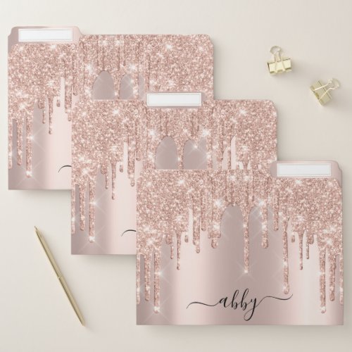 Rose Gold Metallic Drips Glitter Beauty Name File Folder