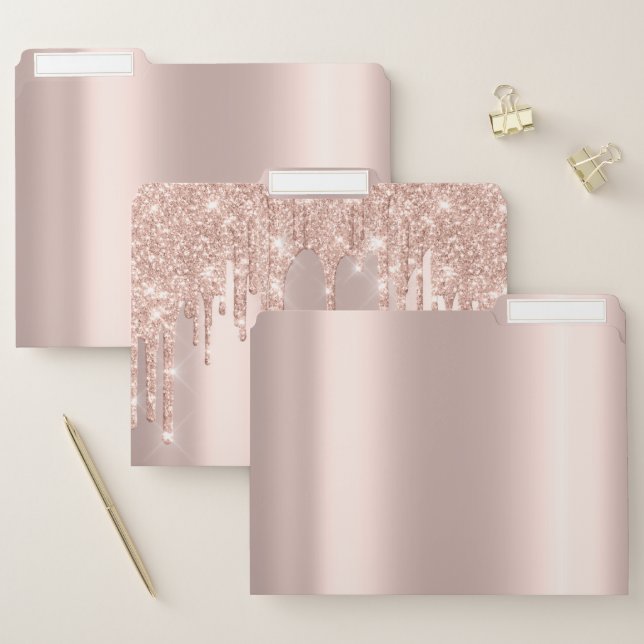 Rose Gold Metallic Minimal Beauty Studio Spark VIP File Folder (Set)