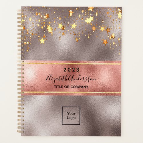 Rose gold metallic stars business logo 2024 planner